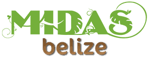 Logo | Midas Belize