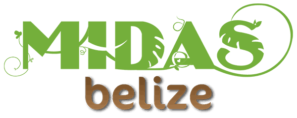 Logo | Midas Belize